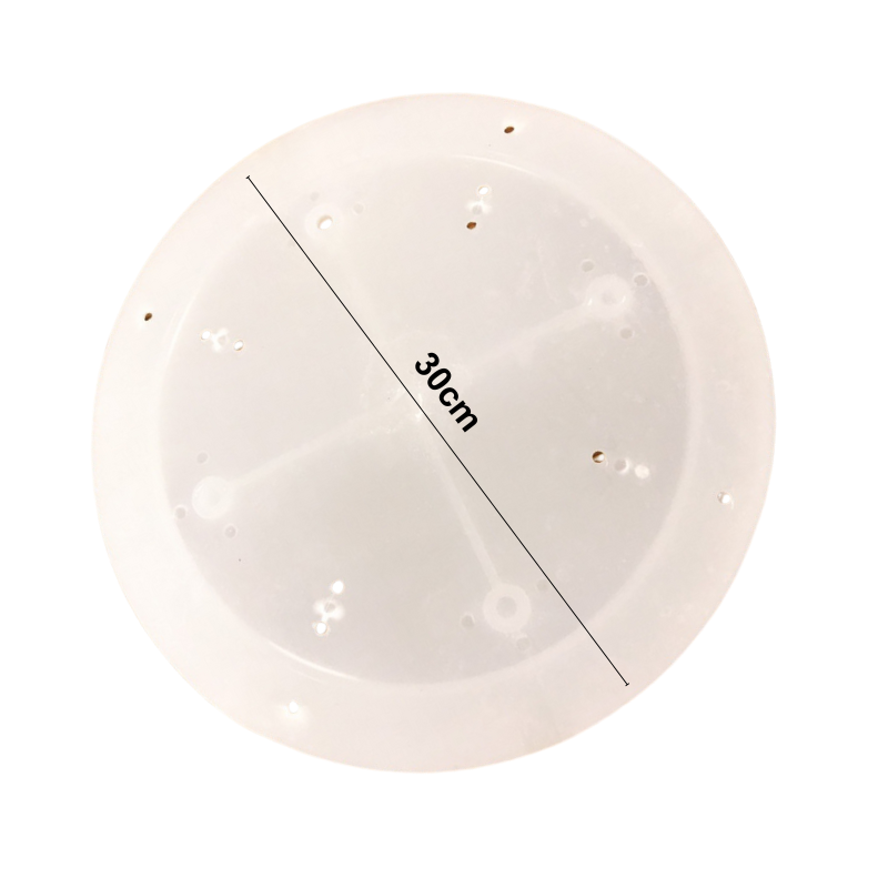 dia-nhua-size30 Mặt Nhựa (30cm) - Ảnh 1