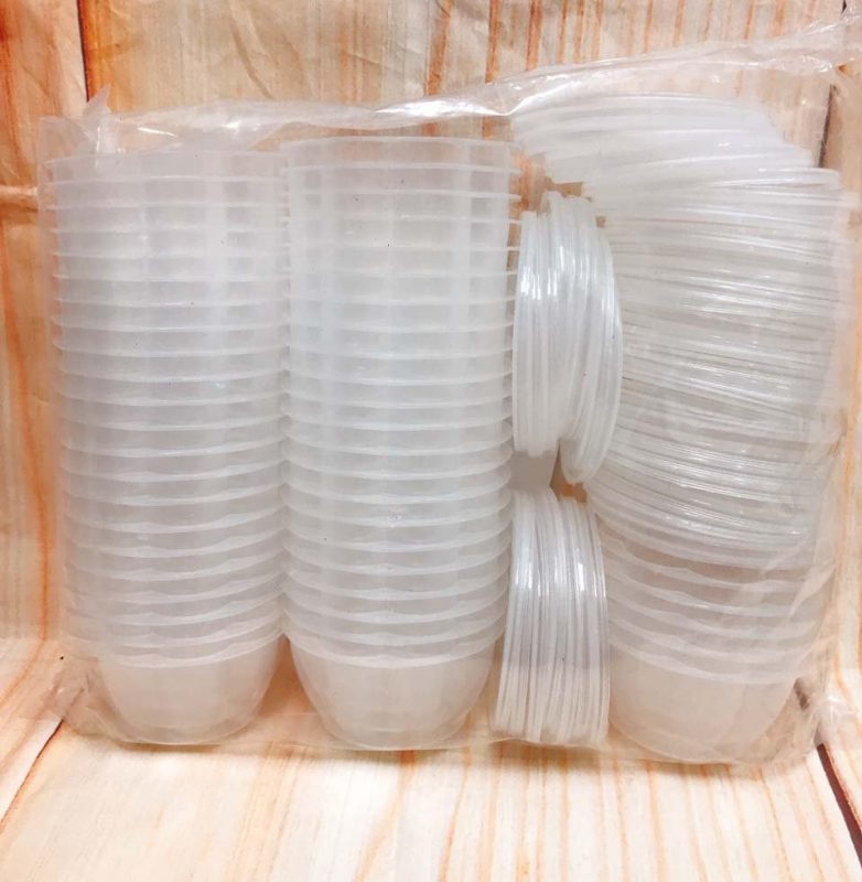 Hộp Flan Bông 50 Cái