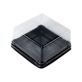 Hộp Nhựa Vuông XY65S