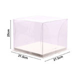 Hộp Mica Vuông Trong Suốt (21.5cm)