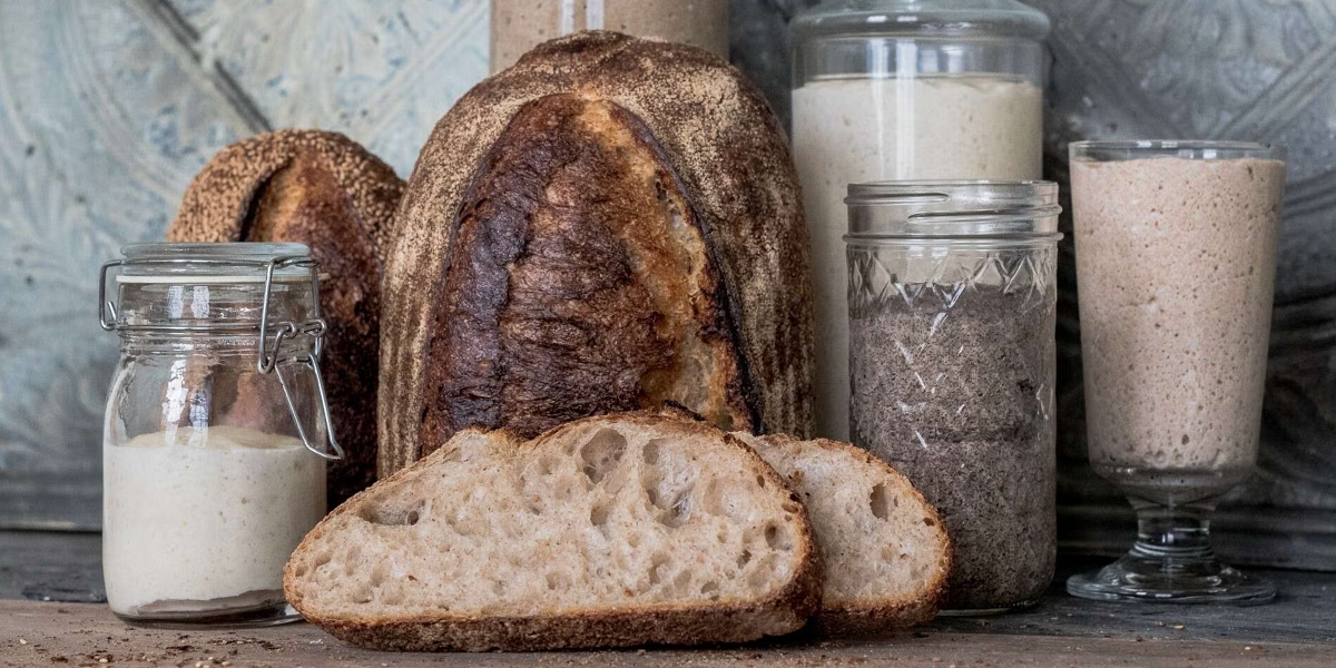 bot cai trong lam banh va cach phan biet Bột cái trong làm bánh là gì ? Phân biệt Tangzhong, Poolish, Biga, Sponge