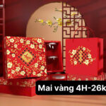 Hộp Mai Vàng 4 Hộp
