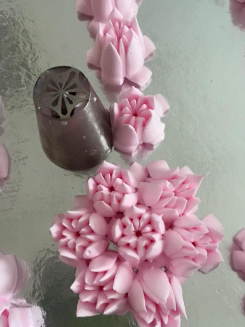 Đui Bắt Bông Kem 3D 13 Đui Bắt Bông Kem 3D